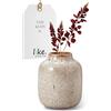 like. by Villeroy & Boch Lave Home vaso Shoulder, 12,5x12,5x15,5cm, beige