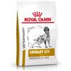Royal Canin Veterinary Urinary S/O Moderate Calorie per cane 6,5 kg + gratis 1 x Urinary Treats