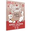 Rosewood Palissandro Cupido e Cometa calendario dell'Avvento di Natale per cani