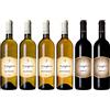 Vini Di Gaspero Degustazione Vini Bianchi e Rossi Di Gaspero - Idea Regalo Gourmet - Friuli Venezia Giulia - 6 Bottiglie 75ml Sauvignon IGP + Pinot IGP + Merlot DOP - Ideale per aperitivi, minestre, pesce, carni
