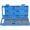 Greensen Set 40 Pezzi Punte Torx in Acciaio Legato, Set di Bussole Esagonali a Stella T10-T50 per Auto, Moto e Elettrodomestici, Resistente all'Usura, con Custodia Portatile