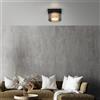 Paul Neuhaus Rika lampada a soffitto, LED, 6162-18, Rika [Lampade per Interni > Lampade a Soffitto]