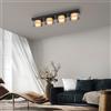 Paul Neuhaus Rika lampada a soffitto, LED, 6164-18, Rika [Lampade per Interni > Lampade a Soffitto]