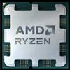 AMD Processore AMD Ryzen 7 7800X3D AMD Ryzen 7 7800X3D AMD AM5