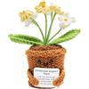 VOSSOT Fiore all'uncinetto Non Ti Scordar di Me regalo, Pianta positiva fatta a mano con 6 fiori e biglietto, Mini vaso decorativo per maestra, amica, scrivania o finestra