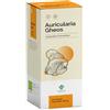 GHEOS SRL Auricularia Gheos 90 Capsule