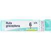 Boiron RUTA GRAV BOI*6CH 80GR 4G