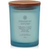 Yankee Candle Reflection & Clarity - Candela Sale Marino e Salvia Media, 250g