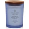 Yankee Candle Serenity & Calm - Candela Profumata Lavanda e Timo Media, 250g