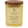 Yankee Candle Strength & Energy - Candela Profumata Ananas e Cocco Piccola, 96g