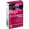 Optima Naturals ECHINACEA BENEFIT ACTIVE FLU 20 COMPRESSE DA 800 MG