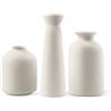 Napormot Piccolo vaso in ceramica,Vasi bianchi per la decorazione,Set 3 moderni vasi Boho per pampa di fiori,Adatto per ufficio soggiorno scrivania mensola Decor