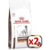 ROYAL CANIN GASTROINTESTINAL HIGH FIBRE 14KG CANINE*acquisto minimo 2pz*