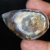 Handmade Cabochon Di Gemma Fossile Di Lumaca Naturale 100% 185,10 Cts 29x48x18 Mm MS20