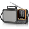 Tendak Radio Portatile FM/AM, Radio Portatile Ricaricabile 2400mAh, Radiolina Portatile Supporta Batterie Sostituibili (AA), Con Funzionalità Bluetooth/Luce per La Lettura/TF