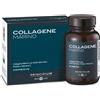 BIOS LINE S.P.A PRINCIPIUM COLLAGENE MAR 20BUSTE