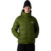 THE NORTH FACE Giacca in piumino con cappuccio Hydrenalite Uomo