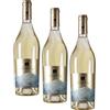 La di Motte Sauvignon Friuli Grave DOC - Bottiglia 750 ml, Alcol 12,5% (Confezione da 3)