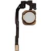 Smartex® Tasto Home Oro con Cavo Flessibile Compatibile con iPhone 5S