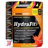 NAMEDSPORT SRL HYDRAFIT 400 G