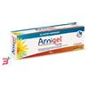 BOIRON SRL ARNIGEL FORTE 100 G