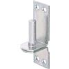 Alberts GAH-Alberts 311230 Cardine su piastra, Acciaio, Dorn 13 mm / 100 x 35 mm / 10 Stk