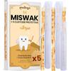 MODOGO® Siwak Naturale x5 con Custodia x5 - Spazzolino Ecologico per Denti - Miswak Africano per Pulizia, Sbiancamento e Igiene Orale - Bastoncini di Araak come Alternativa Sostenibile