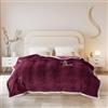 ShowyLive Coperta Pile, Super Morbida Coperta Invernale da 810 g/m² per Divano, Soggiorno -Coperta Lana Matrimoniale & Letto Singolo Adatto Adatto a Tutte le Stagioni (Rossa,200 * 230cm)