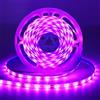 iNextStation 5M Striscia LED Rosa, 12V Strisce LED Dimmerabile, IP65 Impermeabile, 300LEDs SMD2835, Tagliabile Adesive Luci Luminosa per Camera Soggiorno Vetrine Esterno Decorare, Senza Alimentatore