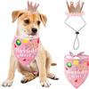AIMICOCA Set di cappelli a bandana per compleanno per cani, per feste di compleanno per cani, ragazzi e ragazze, per cuccioli di taglia piccola e media (rosa)