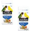 Versele-Laga NutriBird Treats Forti Patee Power Fusion | Confezione Doppia | 2 x 250 g | Mangime complementare per uccelli da appartamento | Con vitamine, minerali e oligoelementi | Con lisina e meti