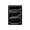 Apple - iPad Pro 11'' Wi-fi +cellular 256gb Standard Glass-argento