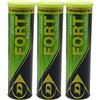 DUNLOP Palline da tennis Dunlop Fort All Court TS 12 Balls
