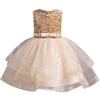 Generic Abito da Sposa da Principessa per Bambini Estivo Senza Maniche Gonna Lunga Azzurra Elegante Abito da Cerimonia per Ragazze Perfetto per Feste e Occasioni Speciali Vestito da (Beige, 3-4 Years)