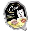 Cesar Terrina Classica in Gelatina 14 Vaschette, Cibo Umido per Cani Adulti Premium, Pollo e Tacchino, Confezione da 2 (7 x 150 g)