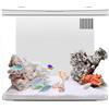 Odoukey Basta di Pesce Betta 1, 3 galloni, Piccolo Kit di Starter dell'acquario con Filtro a 3 Strati e Luce a LED, Serbatoio del Desktop Auto -Pulizia per Betta, gamberi, Pesce Rosso