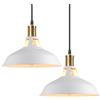 iDEGU 2 Pezzi Lampadario a Sospensione Vintage Industriale 27cm Plafoniera in Metallo E27 Lampadario Soffitto Retro Lampada a Sospensione per Cucina Salotto Sala da Pranzo Cameretta (Bianco)