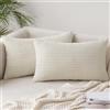 Slozzi Set di 2 federe in velluto a coste, colore beige, 40 x 60 cm, per divano, camera da letto, soggiorno, balcone