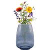 Point-Virgule Vaso decorativo per soggiorno, vasi di fiori in vetro, bello, blu, 18,5 x 24,5 cm