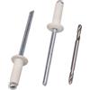 SKIR'CO 100 rivetti ciechi verniciati, 4,0 x 12 mm, in alluminio, DIN 7337, testa a cupola, mandrino in acciaio, rivetti pop (bianco puro RAL 9010)
