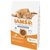 IAMS 10 kg IAMS Light/Sterilised Cibo Secco Crocchette Croccantini con Basso Contenuto di Grassi per Gatti Adulti Sterilizzati di 1+ Anni con Pollo Fresco