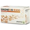 MAGNESIO B 300 30 BUSTINE