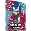 Moda Egidio Trapunta Piumone Invernale Letto Singolo Personaggi Disney Double Face (SONIC)