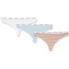 Calvin Klein Thong 3Pk (FF), Slip a Tanga Donna, Blue/White/Rainer Stripe_Sandalwood, XL