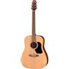 WALDEN Chitarra western, WAD255, Dreadnought, laminato, Hawthorne, finitura opaca