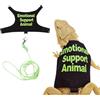 Fnaobai Bearded Dragon - Set di pettorina e guinzaglio regolabile per rettili e lucertola, kit per principianti, accessori per piccoli animali, per addestramento all'aperto a piedi (verde)