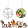 Norhogo 2 palline per mangiatoia in acciaio inox, da appendere, 8 cm
