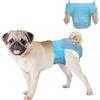 DONO Pannolini Cani Femmine, 10 pezzi, mutandine mestruali per cani con elastico in vita, pannolini pull-up Dogie, super assorbenti, S (26-46 cm)