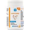 NUTERGIA ITALIA Srl ERGYCEBE 90CPS
