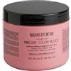 Selective Professional OnCare Color Block Mask 500ml - maschera stabilizzante protettiva capelli colorati